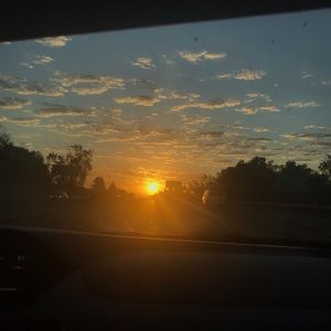 Meet your Posher, Zoé